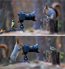 Lets take photos whilst the humans arent watching