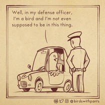 License and registration please 