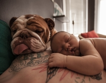Life is a Dream