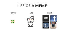 Life Of A Meme