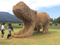 Life Uh Finds A Hay