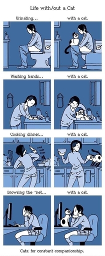 Life with Cats