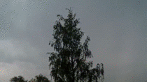 lightning strikes tree captured from near house 