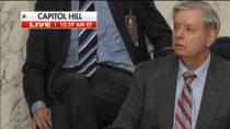 Lindsay Graham winks after Republicans win vote to forge ahead with SCOTUS nomination