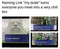 Link my dude
