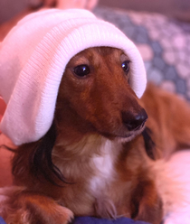 Linus loves getting into character while watching the Emmys