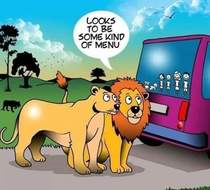 Lion Drive Thru