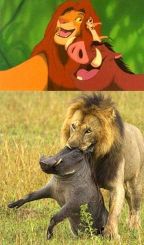 Lion King Expectation vs Reality