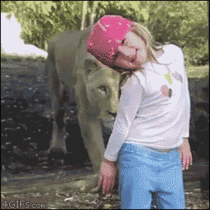 Lion scares girl