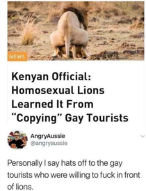 Lions are just big copycats