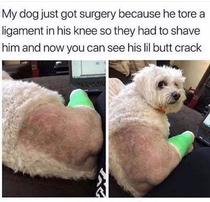 Little butt crack