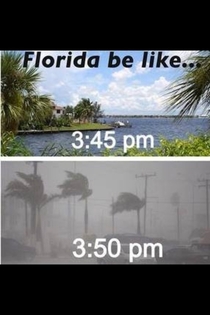 Living here for over a decade this could not be more accurate