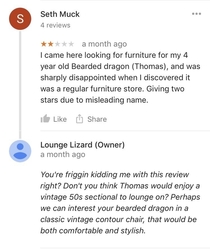 Lizard Dad and Furniture Store clash