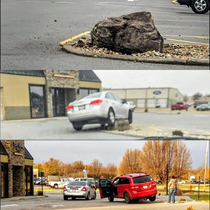 Local donut shop put a rock in their planter to keep people from driving over plants