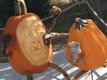 Local pumpkin contest had  pumpkins boxing each other