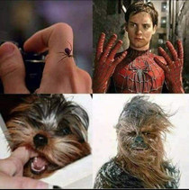 Logic Spiderman  Star Wars