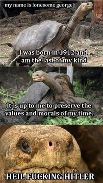 Lonesome George the last of his kind