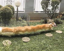 Long boi