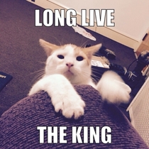 Long live the King