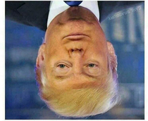 Look at it upside down