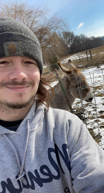 Look at this jackasscute donkey too