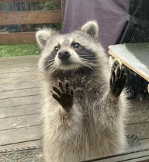 Look I washed my hands and Im wearing a mask So will you let me in