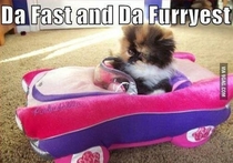 Look out Vin Diesel and Paul Walker