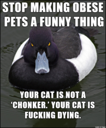 Looking at you pet-owning dumbasses