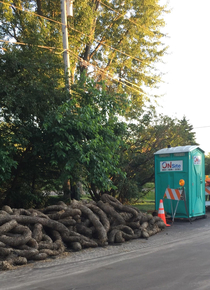 Looks like were going to need a bigger porta-pottie