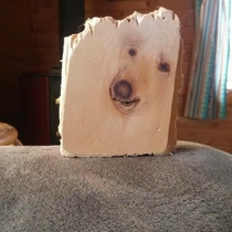 lord doggo shows his face in wood