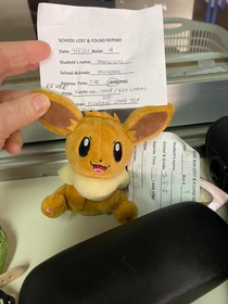 Lost and found called Eevee a pikachu I fixed it