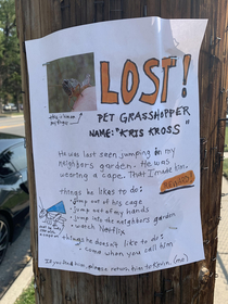 Lost grasshopper