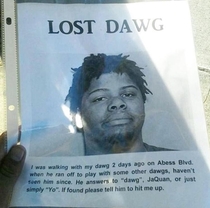 Lost my Dawg