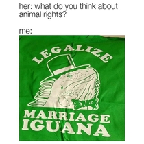 love is love