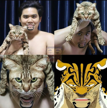 Low cost cosplay with another cat