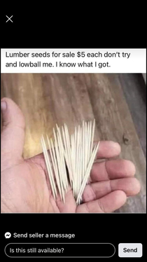 Lumber Seeds