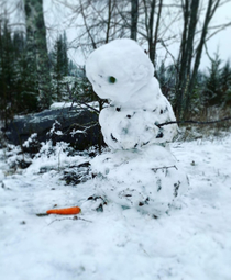 Made a snowman And he looked so sad the next morning