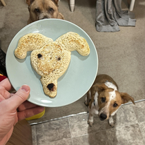 Made our-dog-shaped pancakes for my wife this morning