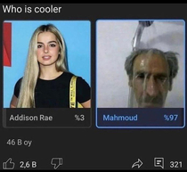 Mahmoud 