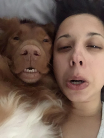 Make the same face your dog makes