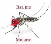 Malario and leukemia