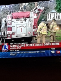 Man burns down his home trying to kill a spider
