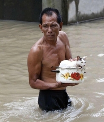 Man carries little cat after a heavy storm All lives matter big or small 