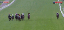 Man joins a horse race