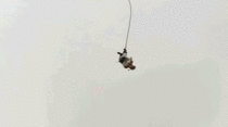 Man shits his pants while bungee jumping