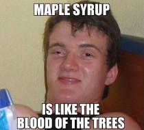 Maple syrup is like