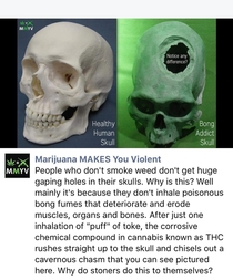 Marijuana makes you violent
