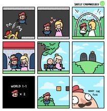 Mario life
