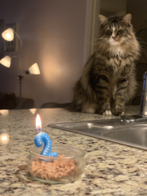 Marvin was not pleased with the foreign object in his birthday salmon