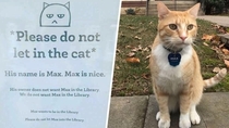 Max the cat is banned from the library
